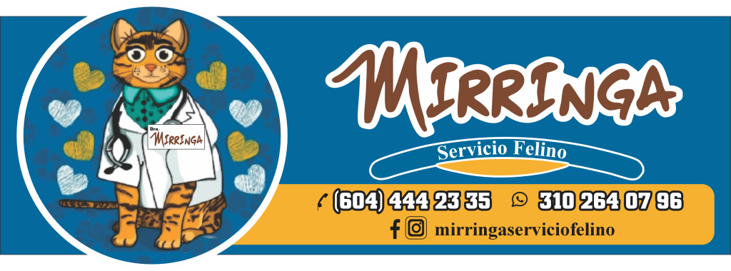 Mirringa Servicio Felino